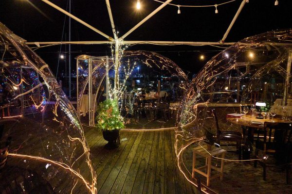 clear dining domes at night with twinkle lights and lit up tree