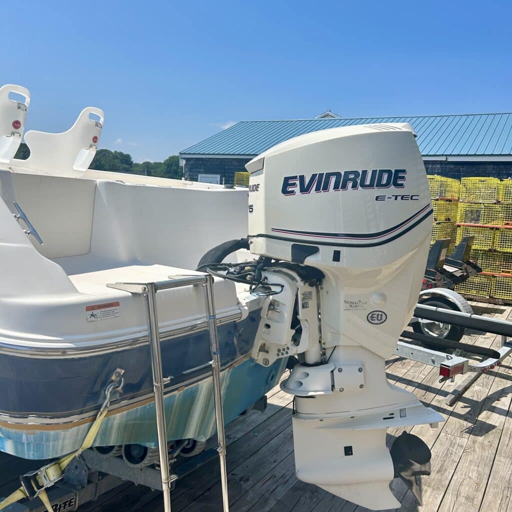 eveinrude outboard on boat on trailer