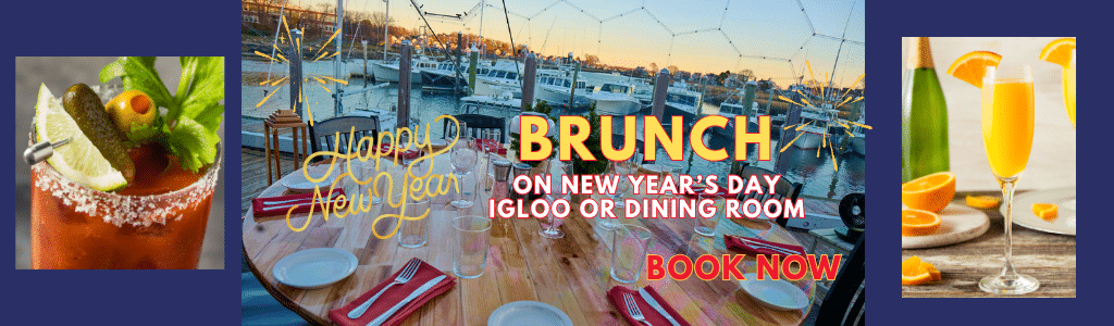 BUNCH on New Years Day in an Igloo aor dining room on the water table in clear dome