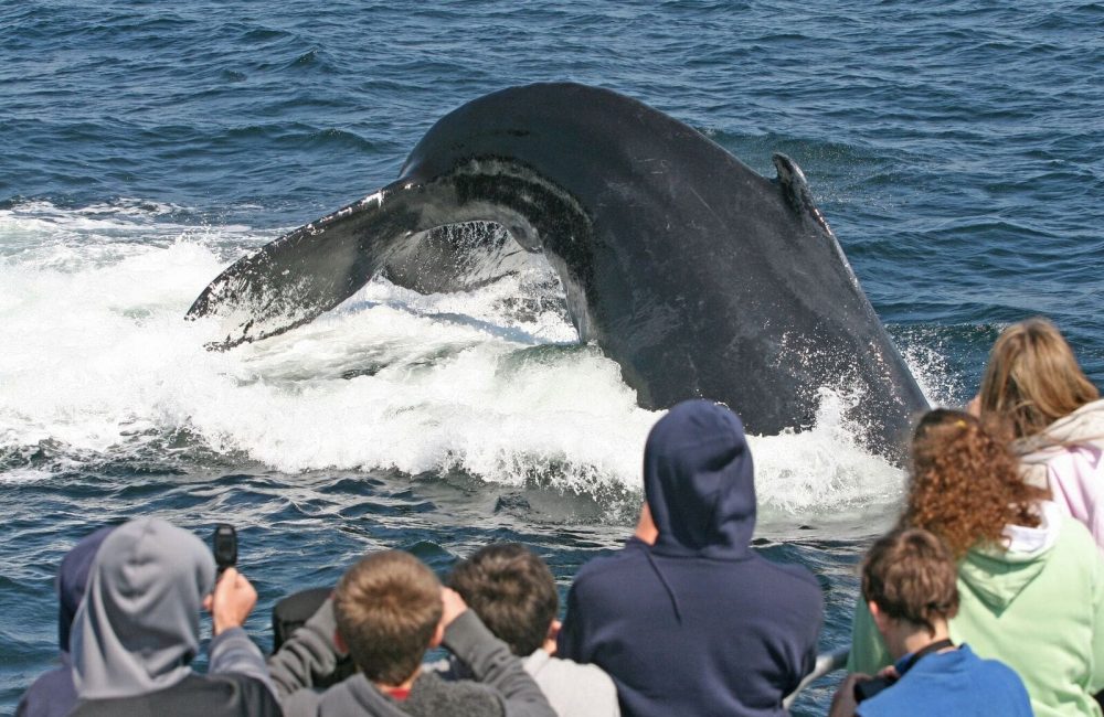 7-Seas-WW-photo