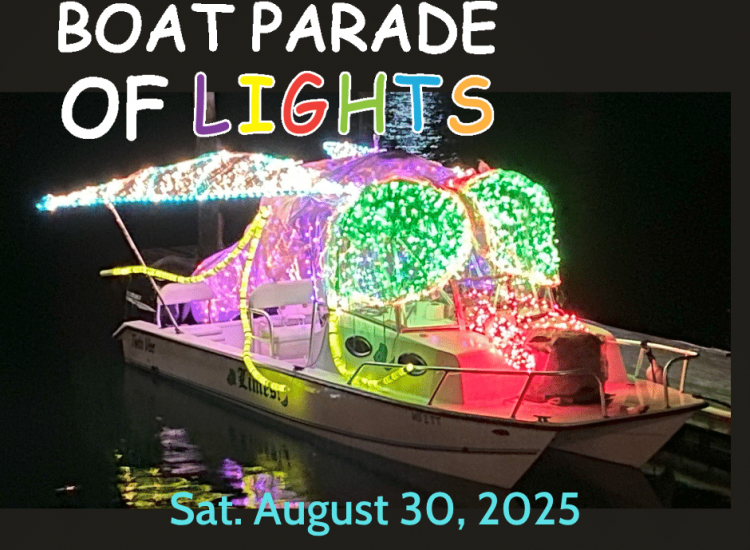 Boat Parade of Lights - boat light up like a bug
