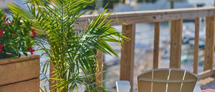 plant and back of chair overlooking marina