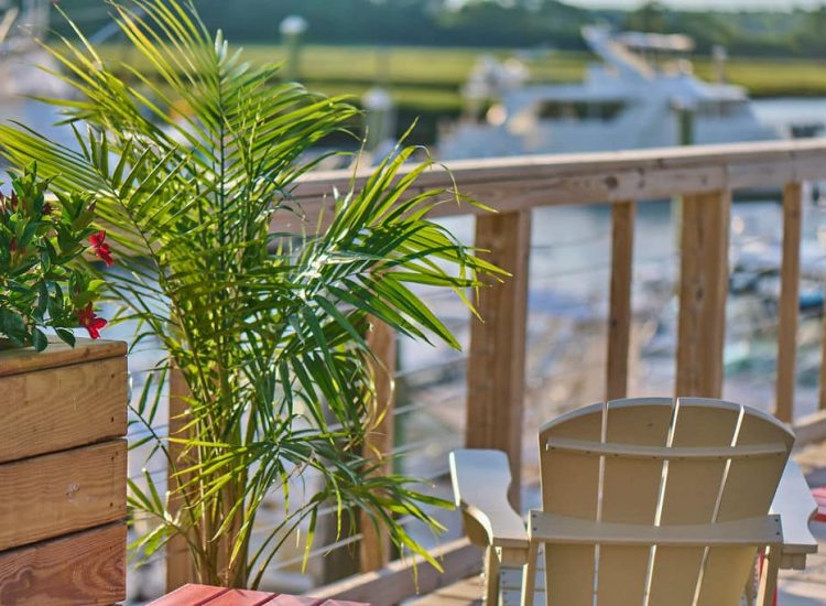 plant and back of chair overlooking marina