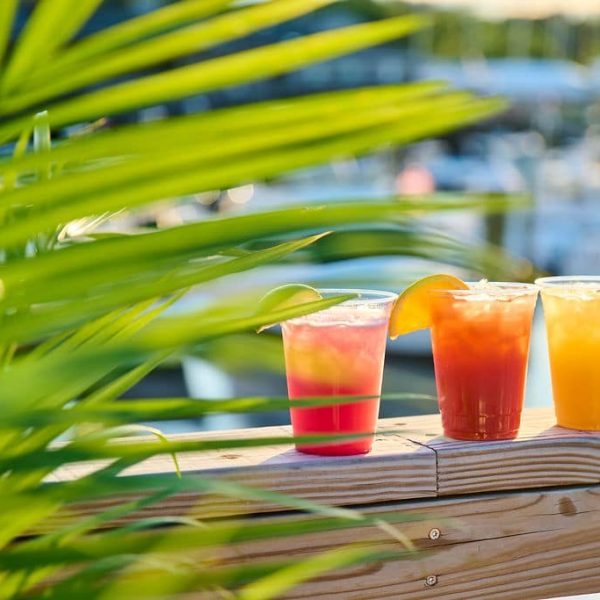 plant and cocktails on the railing