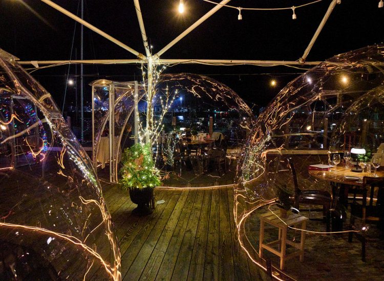 clear dining domes at night with twinkle lights and lit up tree