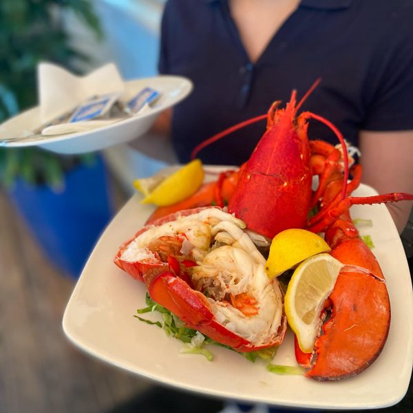 Fresh steamed lobster right off the boat