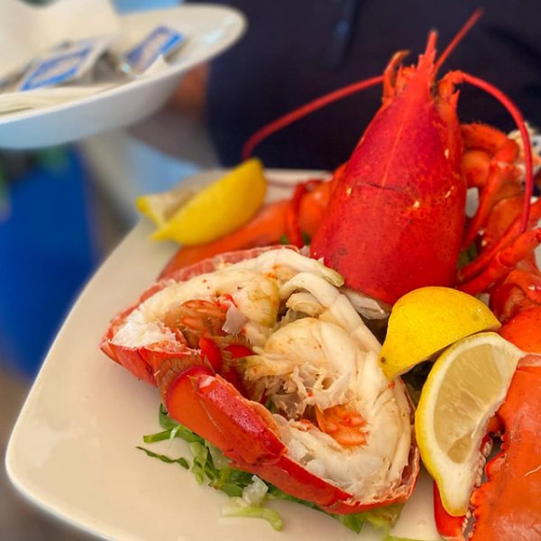 Best steamed lobster right off the boat