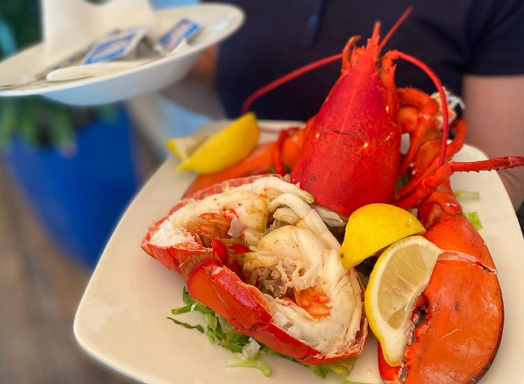 Best steamed lobster right off the boat