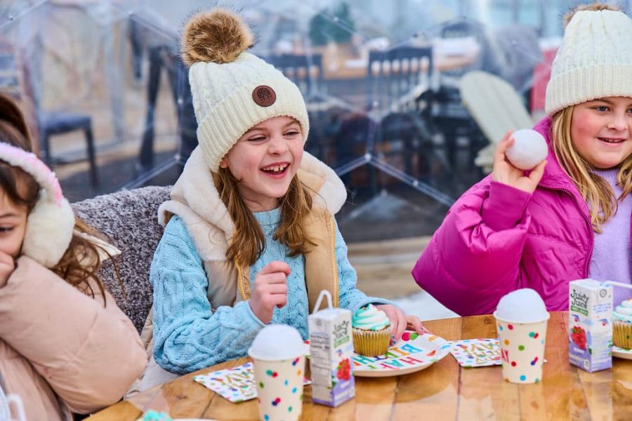 Kid's Birthday Party in an Igloo